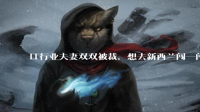 IT行业夫妻双双被裁，想去新西兰闯一闯可以吗？