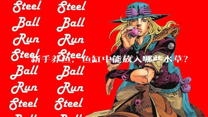 新手养鱼，鱼缸中能放入哪些水草？