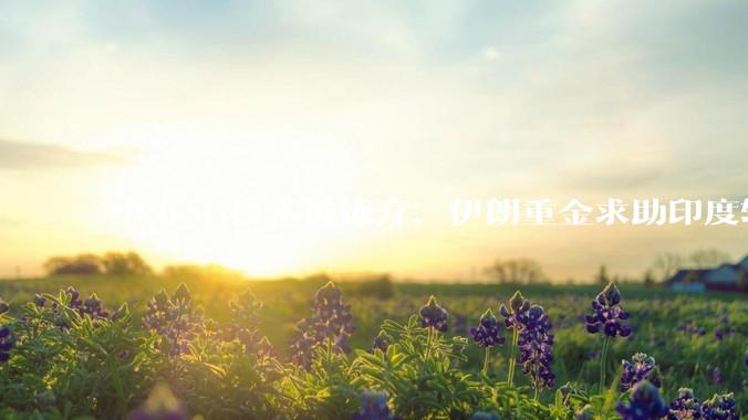 中方5G技术被嫌弃，伊朗重金求助印度软件，却连领袖行踪都被直播_信息化_核心_高层