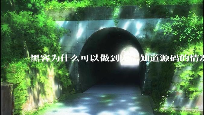 黑客为什么可以做到无需知道源码的情况下找出系统漏洞？